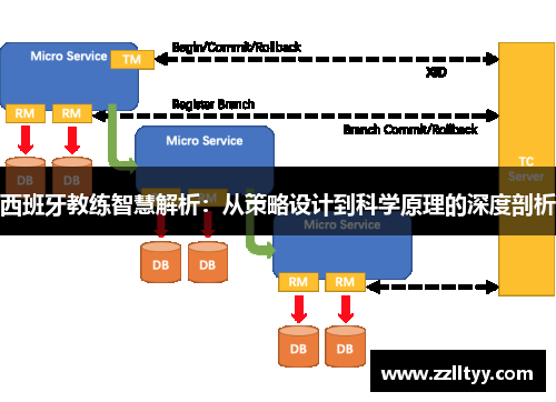 西班牙教练智慧解析：从策略设计到科学原理的深度剖析