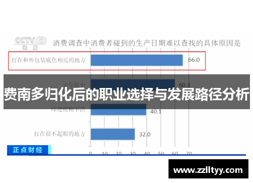 费南多归化后的职业选择与发展路径分析