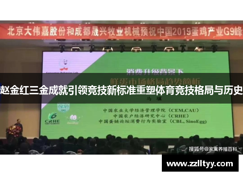赵金红三金成就引领竞技新标准重塑体育竞技格局与历史