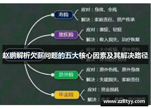 赵鹏解析欠薪问题的五大核心因素及其解决路径